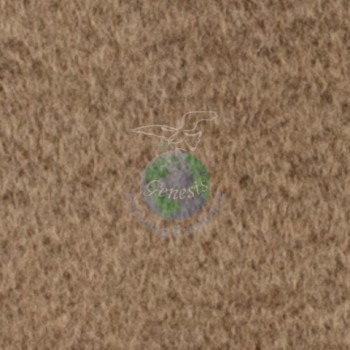 Cashmere-5